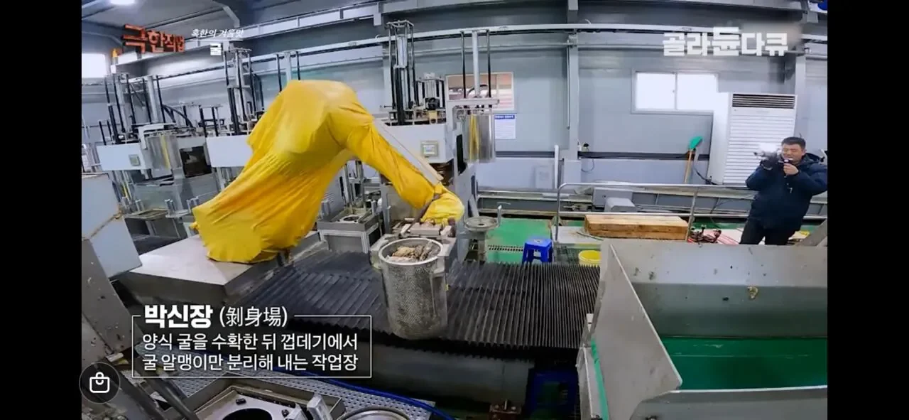 굴 까는것도 자동화 시대