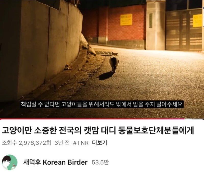 어쩌다 고양이 살처분론까지 나오게 됐을까? 진짜 범인을 알려드림