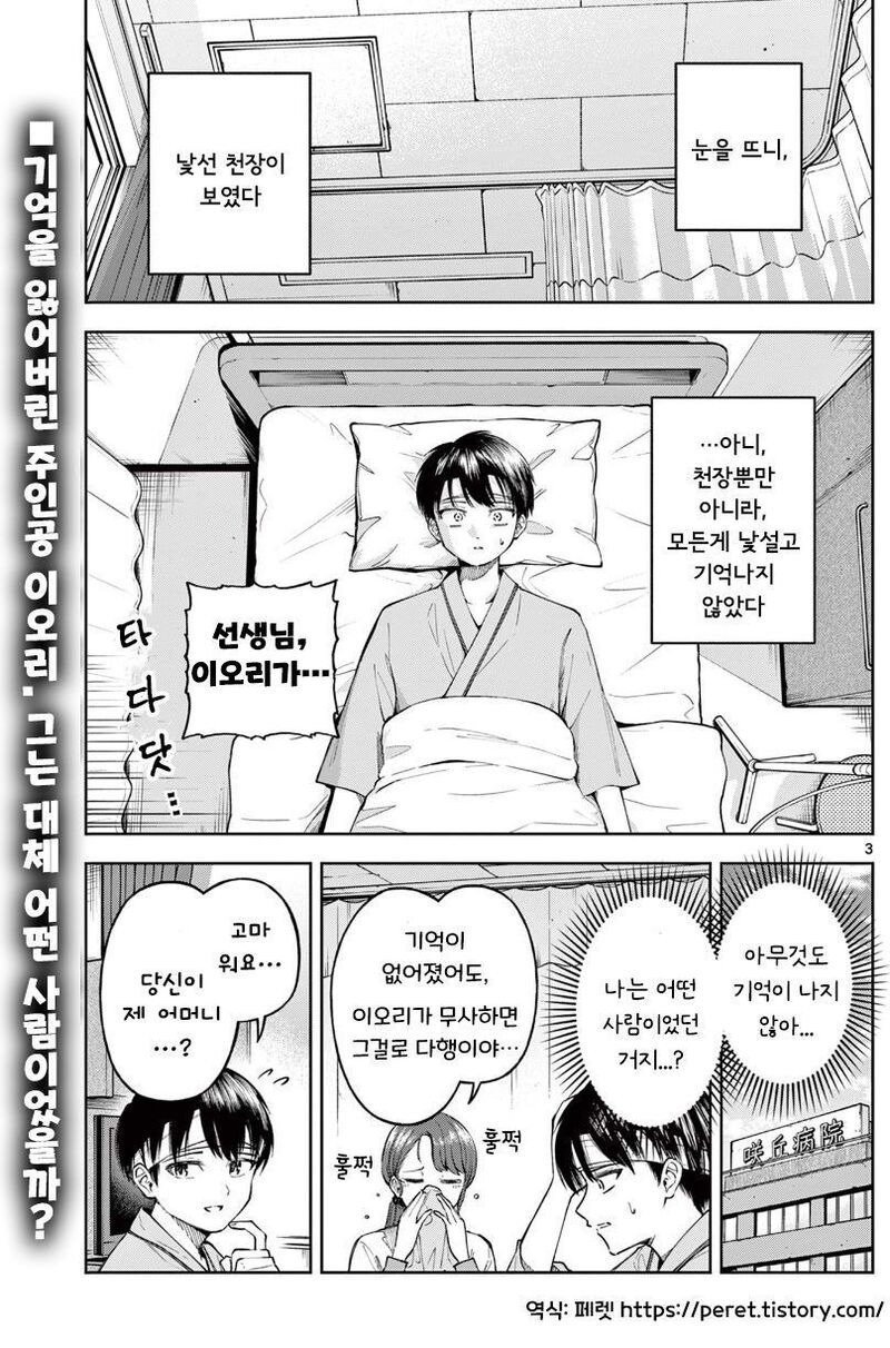 기억 잃은 나에게 여자친구가 있었다 Manwha
