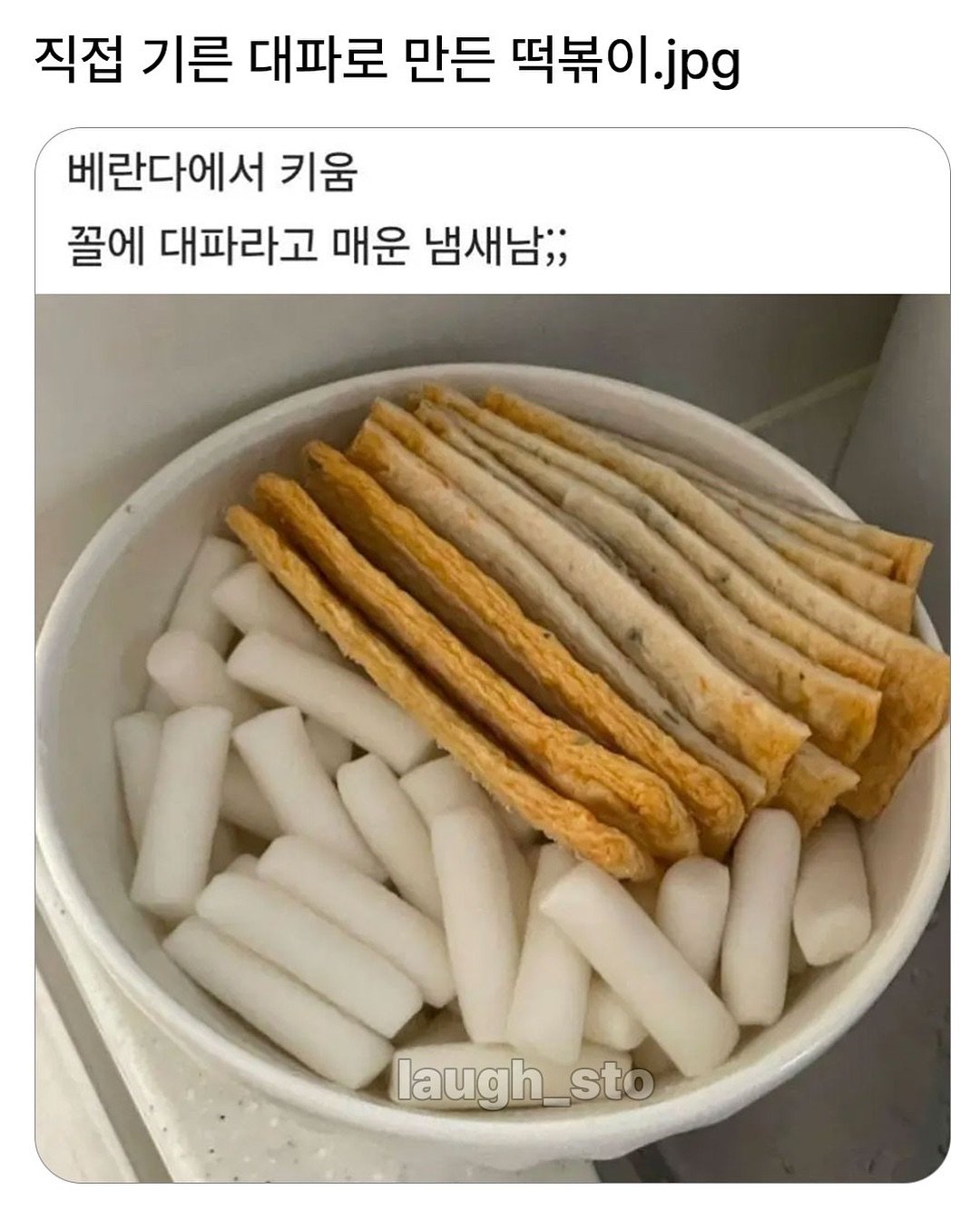 직접기른 대파로 만든 떡볶이
