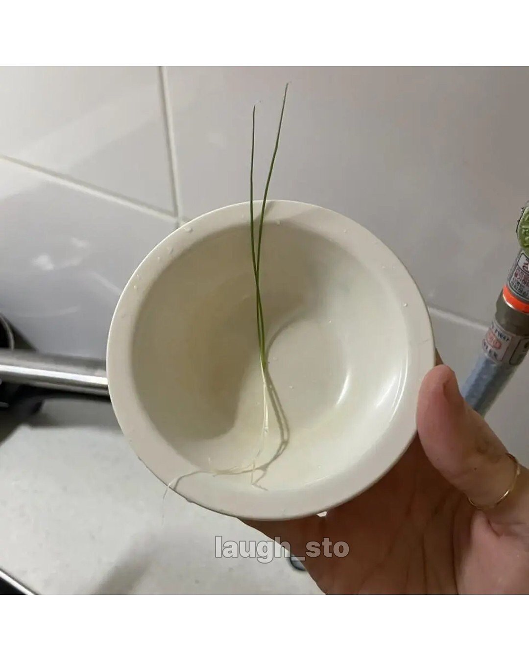 직접기른 대파로 만든 떡볶이
