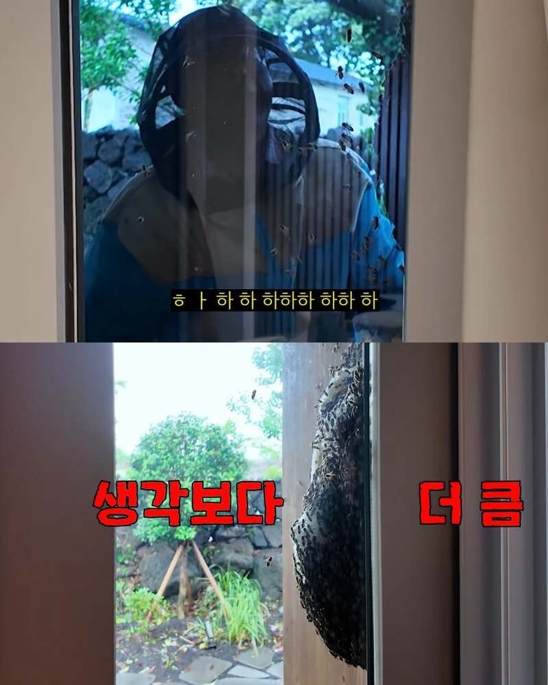 2주만에 제주도 집 갔다 119 부른 김숙