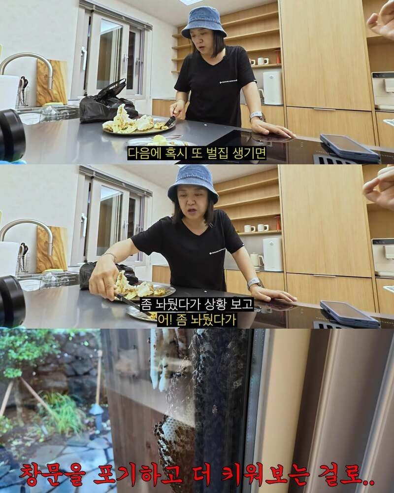 2주만에 제주도 집 갔다 119 부른 김숙