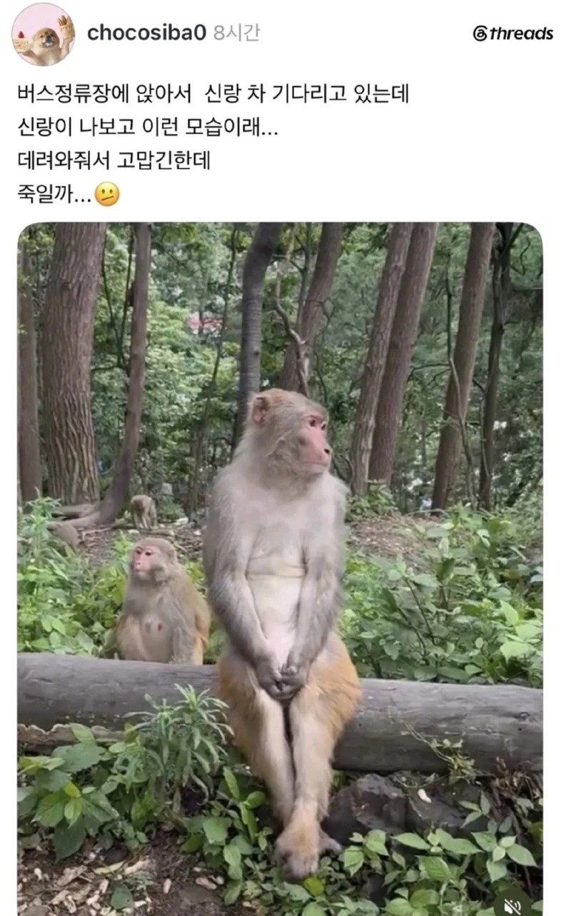 남편차 기다리는 부인의 모습을 흉내내 보았다