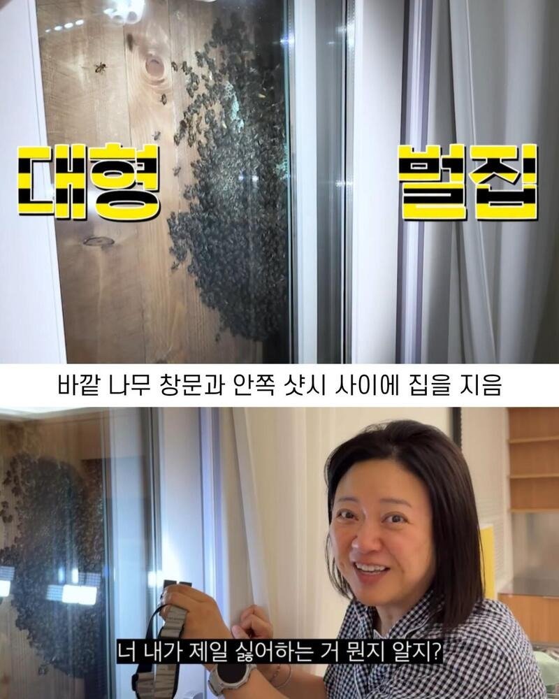 2주만에 제주도 집 갔다 119 부른 김숙