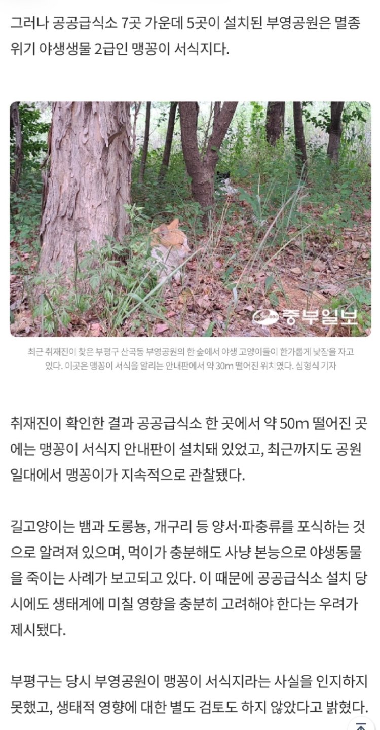 멸종위기 맹꽁이 서식지에 지자체가 벌인 일