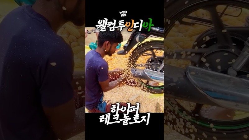 놀라운 테크놀로지아 인도 옥수수 탈곡 과정