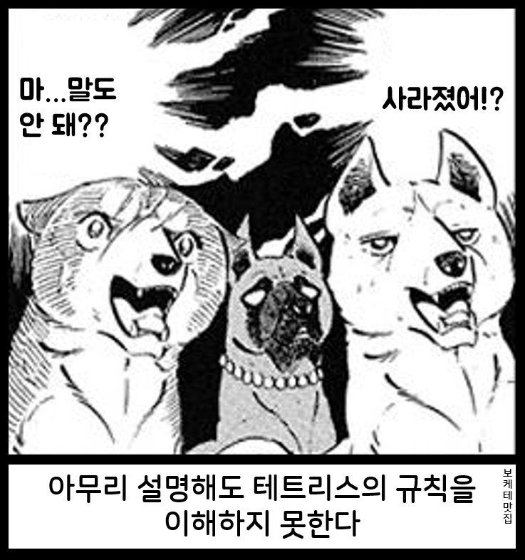 NEW 일본의 제목학원 보케테 모음 80