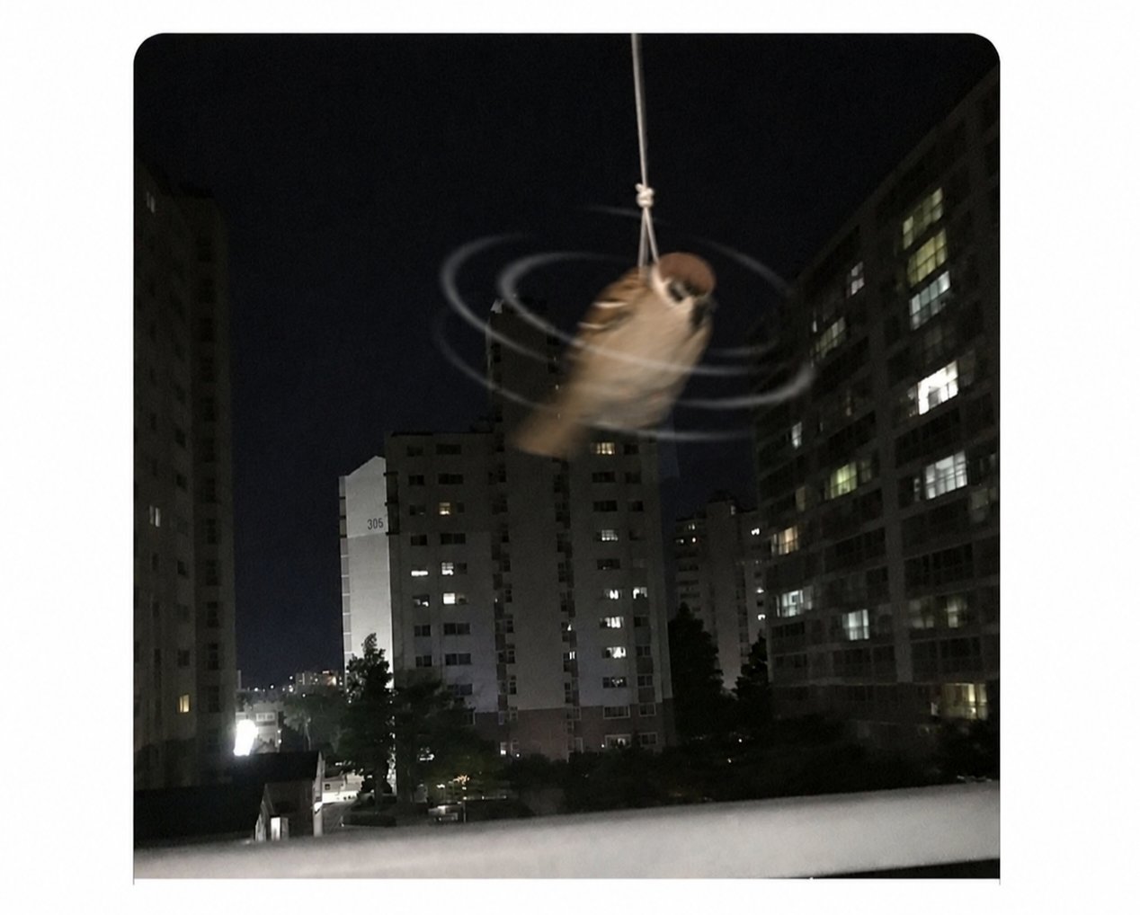 친구가 윗집살면 좋은이유