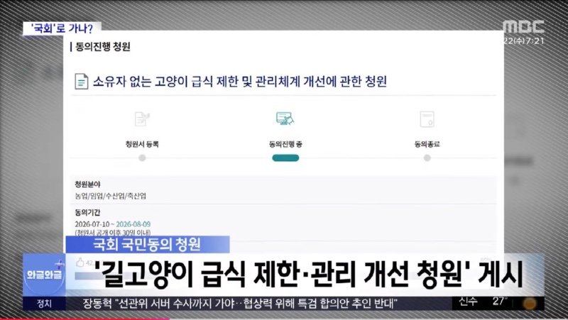 MBC) '캣맘' 사라지나?..'길고양이' 청원 4만 명 돌파