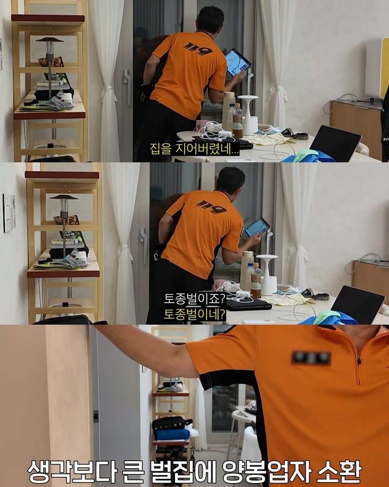 2주만에 제주도 집 갔다 119 부른 김숙