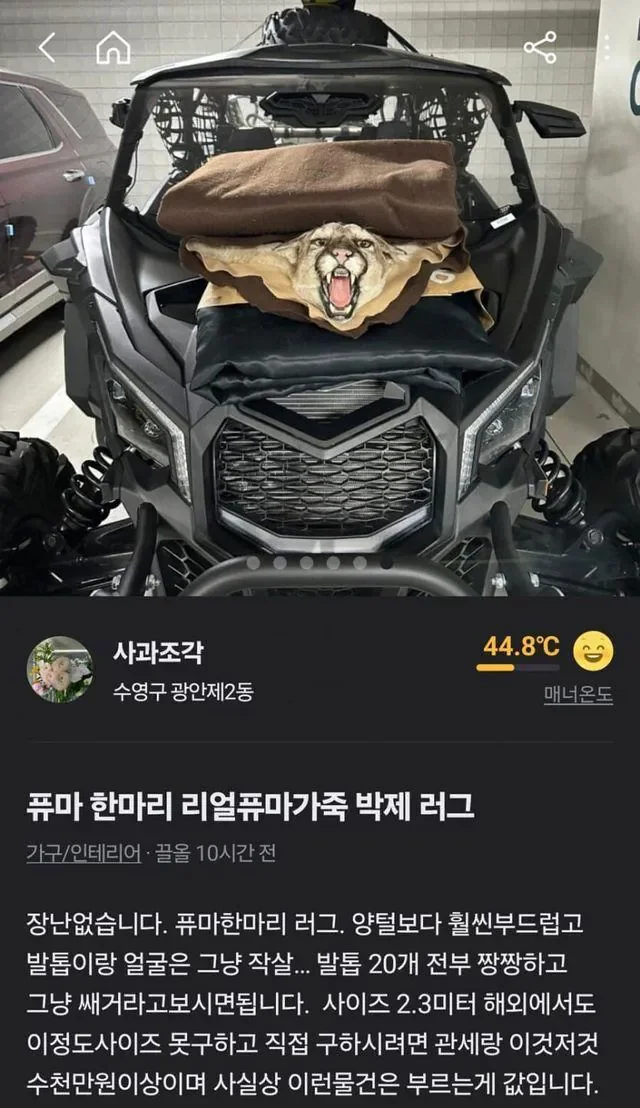 의외로 당근에서 팔아도 되는 물품