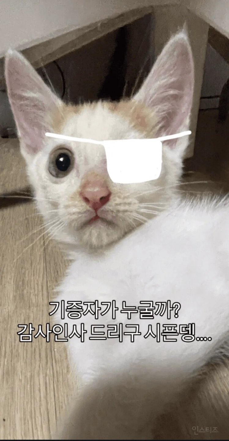 형아 ! 나 드디어 눈 기증받게 됐대 !!!