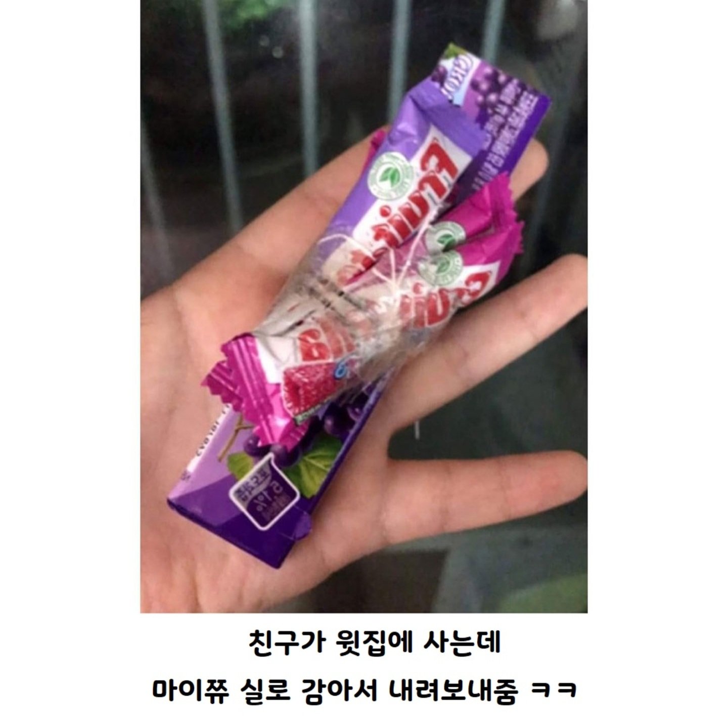 친구가 윗집살면 좋은이유