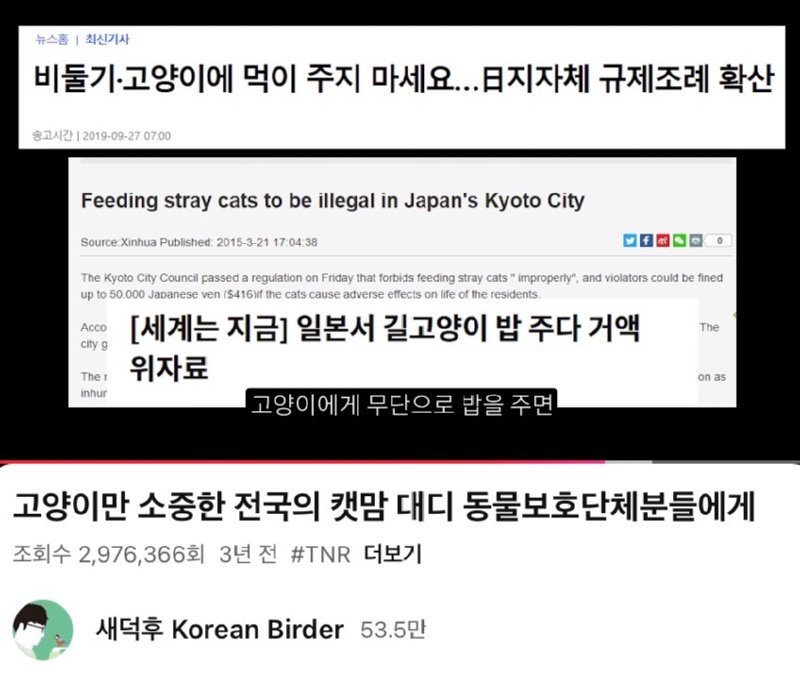 어쩌다 고양이 살처분론까지 나오게 됐을까? 진짜 범인을 알려드림