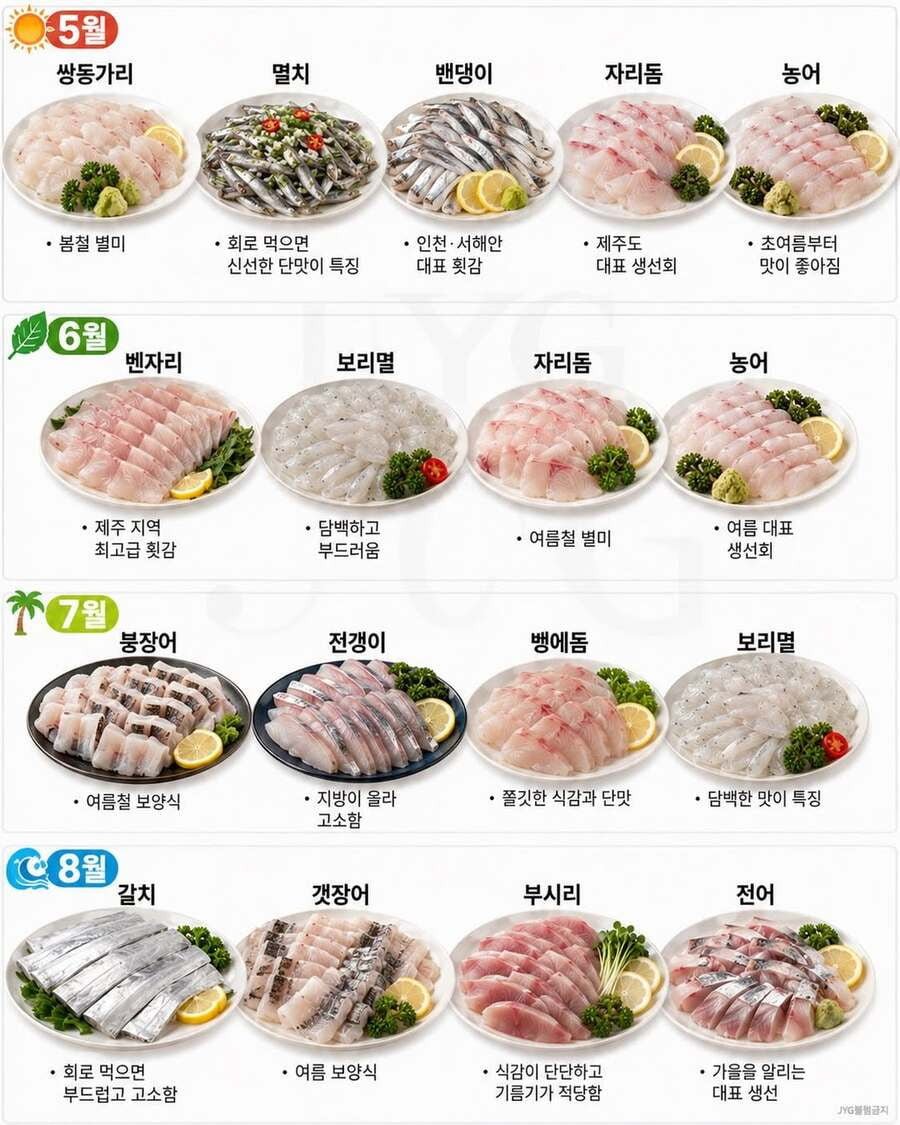 월별 제철 생선회 총정리