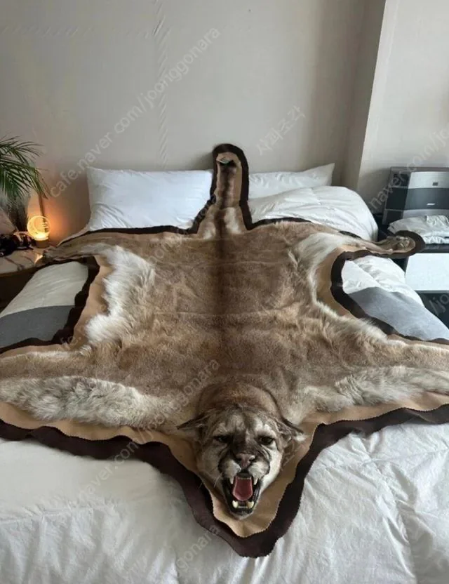 의외로 당근에서 팔아도 되는 물품