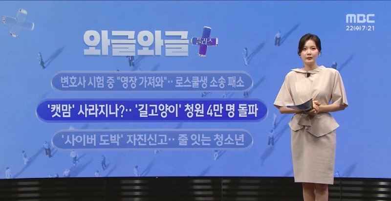MBC) '캣맘' 사라지나?..'길고양이' 청원 4만 명 돌파