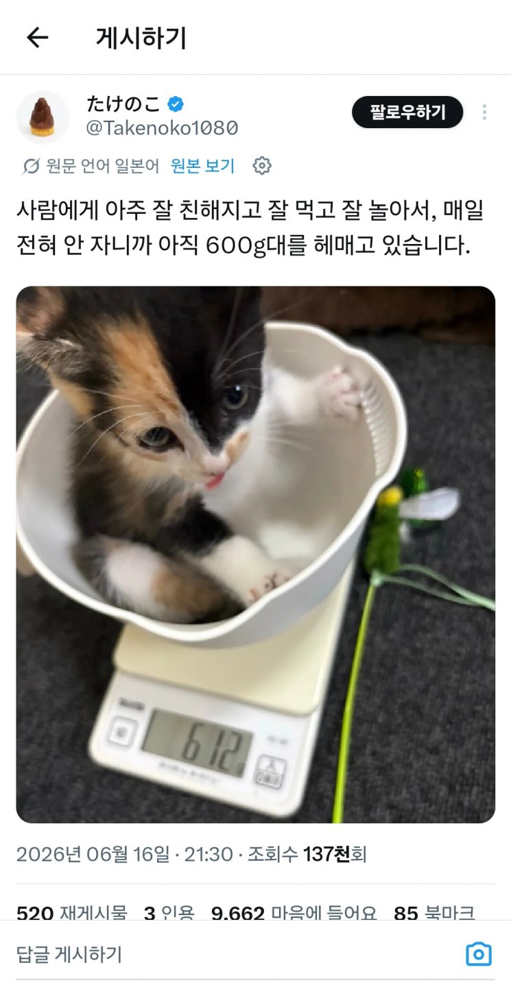 갑자기 나랑 결혼해줘서 고맙다는 남편.jpg