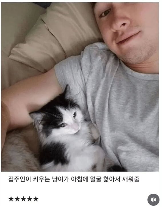 숙소 별점 5점 준 이유